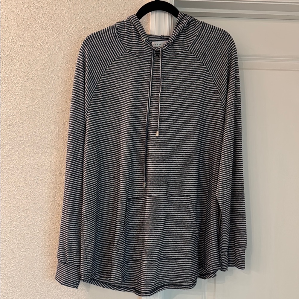 Retrelogy Striped Hoodie - Navy and White 2X